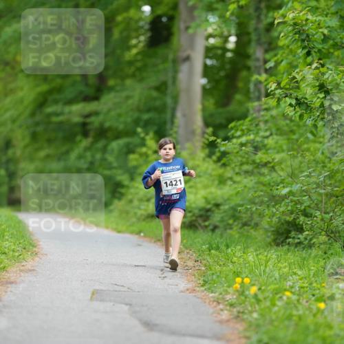 09.05.2026 - Störlauf LAZAROV Photography http://msf.ph/oto/9729174 09.05.2026 15:12:46 Laufen 1421 meine-sportfotos.de