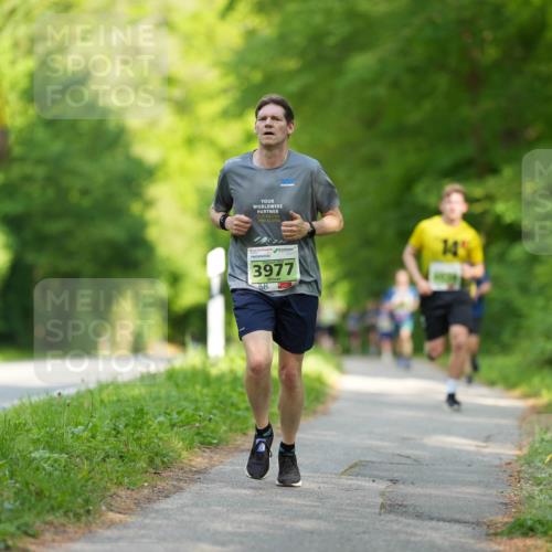 09.05.2026 - Störlauf LAZAROV Photography http://msf.ph/oto/9730380 09.05.2026 17:20:34 Laufen 3977, 14 meine-sportfotos.de