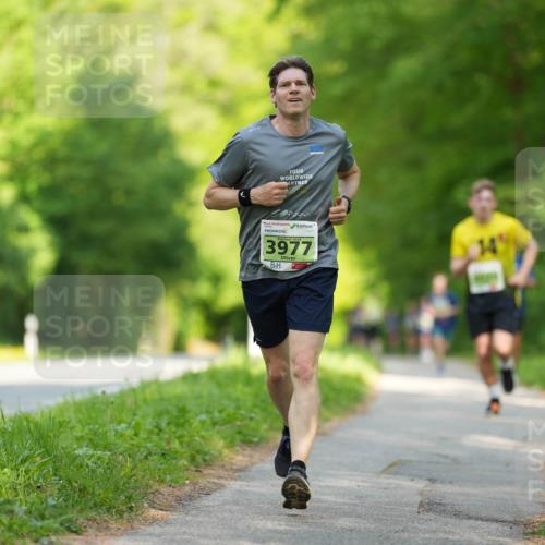 09.05.2026 - Störlauf LAZAROV Photography http://msf.ph/oto/9730381 09.05.2026 17:20:35 Laufen 2026, 3977, 14 meine-sportfotos.de