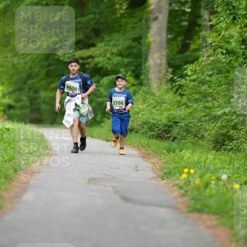 09.05.2026 - Störlauf LAZAROV Photography http://msf.ph/oto/9730821 09.05.2026 17:39:52 Laufen 3800, 3796 meine-sportfotos.de