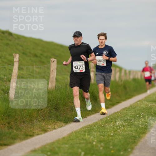 09.05.2026 - Störlauf LAZAROV Photography http://msf.ph/oto/9730987 09.05.2026 18:31:49 Laufen 4273, 5043 meine-sportfotos.de
