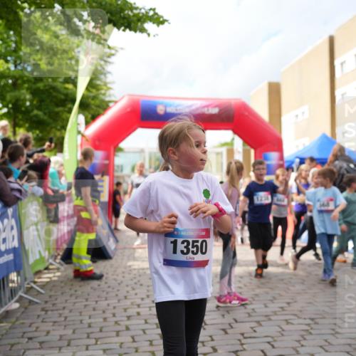 12.06.2026 - Holstenköstenlauf LAZAROV Photography http://msf.ph/oto/9741817 12.06.2026 16:08:17 Laufen 36, 1350, 123, 60, 140, 156, 338, 342, 389, 391, 392, 395, 672, 674, 933, 1132, 1240, 1249, 1561 meine-sportfotos.de