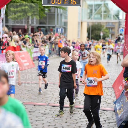 12.06.2026 - Holstenköstenlauf LAZAROV Photography http://msf.ph/oto/9742214 12.06.2026 16:22:14 Laufen 137, 1460, 315, 380, 2, 28, 137, 380, 461, 485, 833, 1022, 1032, 1183, 1192, 1193, 1211, 1315, 1460 meine-sportfotos.de