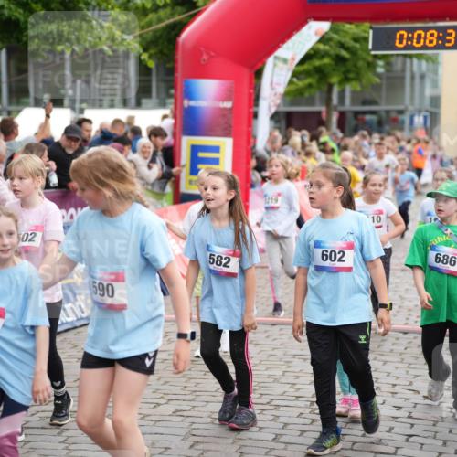 12.06.2026 - Holstenköstenlauf LAZAROV Photography http://msf.ph/oto/9742346 12.06.2026 16:23:33 Laufen 93, 502, 590, 1219, 582, 602, 10, 0, 08, 35, 686, 1201, 314, 471, 483, 484, 601, 863, 1031, 1103, 1104, 1110, 1203, 1207, 1208, 1218, 1219, 1325, 1485, 1486, 1509 meine-sportfotos.de