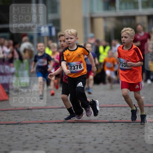 12.06.2026 - Holstenköstenlauf Michael Strokosch http://msf.ph/oto/9748410 12.06.2026 15:01:38 Laufen 60, 7378, 703 meine-sportfotos.de
