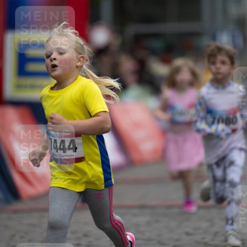 12.06.2026 - Holstenköstenlauf Michael Strokosch http://msf.ph/oto/9748539 12.06.2026 15:12:24 Laufen 50, 1444 meine-sportfotos.de