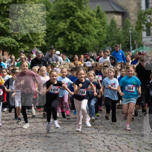 12.06.2026 - Holstenköstenlauf Michael Strokosch http://msf.ph/oto/9748613 12.06.2026 15:30:07 Laufen 364, 510, 1450, 10, 788, 148, 93 meine-sportfotos.de