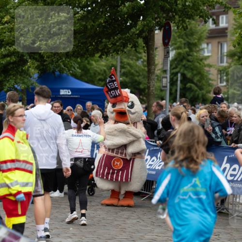 12.06.2026 - Holstenköstenlauf Michael Strokosch http://msf.ph/oto/9748973 12.06.2026 18:04:14 Laufen  meine-sportfotos.de