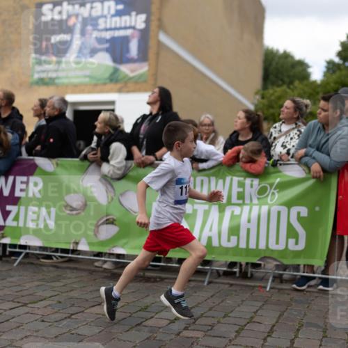 12.06.2026 - Holstenköstenlauf Michael Strokosch http://msf.ph/oto/9750339 12.06.2026 16:06:57 Laufen 11 meine-sportfotos.de