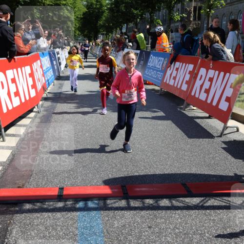 14.06.2026 - REWE Women's Run Strokosch-Dieckow http://msf.ph/oto/9751122 14.06.2026 11:39:03 Ziel 143, 144, 147, 191, 213, 219, 223, 229, 230, 231, 236, 285, 286, 287, 308, 338 meine-sportfotos.de