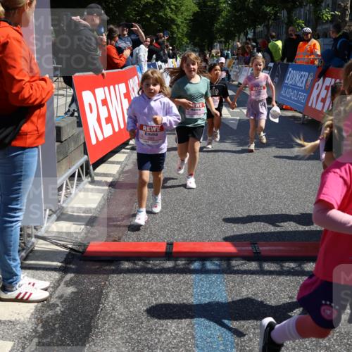 14.06.2026 - REWE Women's Run Strokosch-Dieckow http://msf.ph/oto/9751210 14.06.2026 11:38:59 Ziel 109, 143, 144, 191, 213, 217, 219, 223, 229, 230, 231, 285, 286, 308, 338, 360 meine-sportfotos.de