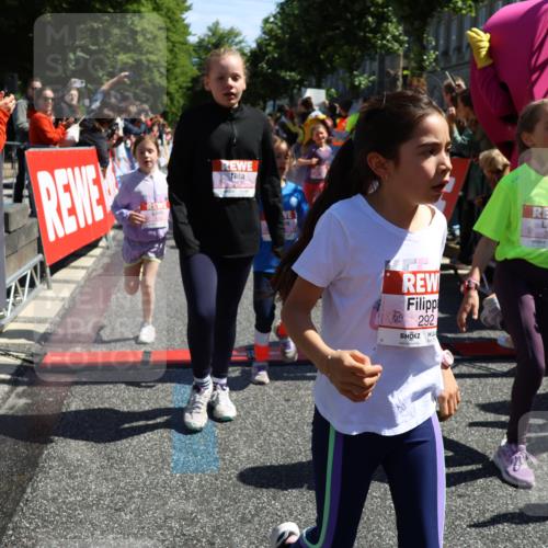 14.06.2026 - REWE Women's Run Strokosch-Dieckow http://msf.ph/oto/9753591 14.06.2026 11:37:48 Ziel 101, 112, 119, 141, 156, 159, 164, 172, 179, 215, 224, 225, 234, 248, 257, 264, 269, 292, 311, 322, 323, 339, 340, 342, 343, 351, 361, 362 meine-sportfotos.de
