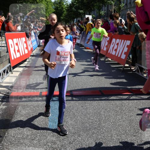 14.06.2026 - REWE Women's Run Strokosch-Dieckow http://msf.ph/oto/9753632 14.06.2026 11:37:47 Ziel 101, 112, 119, 141, 156, 159, 164, 172, 173, 179, 224, 234, 248, 257, 264, 269, 292, 311, 322, 323, 334, 339, 340, 342, 343, 344, 351, 361, 362 meine-sportfotos.de