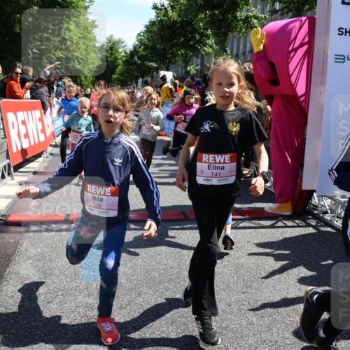 14.06.2026 - REWE Women's Run Strokosch-Dieckow http://msf.ph/oto/9753831 14.06.2026 11:37:42 Ziel 101, 111, 112, 131, 132, 141, 156, 159, 164, 165, 172, 173, 179, 234, 248, 264, 269, 292, 323, 334, 339, 340, 344, 351, 358 meine-sportfotos.de