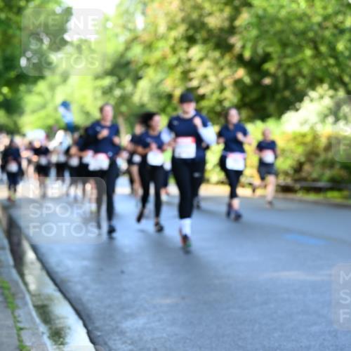 14.06.2026 - REWE Women's Run Dr. Thomas Lammeyer http://msf.ph/oto/9757047 14.06.2026 09:20:54 Laufen  meine-sportfotos.de