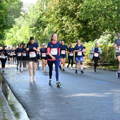 14.06.2026 - REWE Women's Run Dr. Thomas Lammeyer http://msf.ph/oto/9757978 14.06.2026 09:22:04 Laufen  meine-sportfotos.de