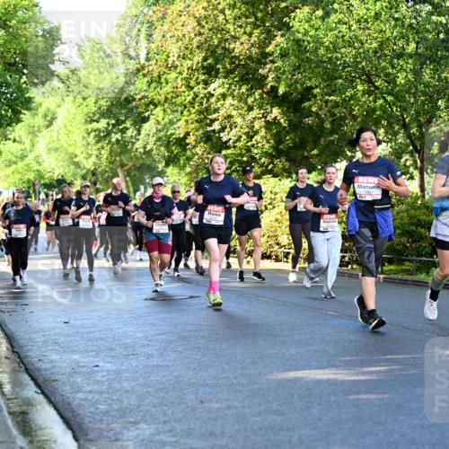 14.06.2026 - REWE Women's Run Dr. Thomas Lammeyer http://msf.ph/oto/9758173 14.06.2026 09:22:19 Laufen 1123 meine-sportfotos.de