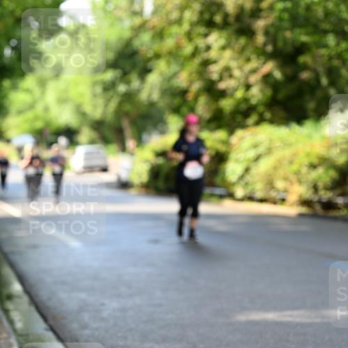 14.06.2026 - REWE Women's Run Dr. Thomas Lammeyer http://msf.ph/oto/9760713 14.06.2026 09:26:09 Laufen  meine-sportfotos.de