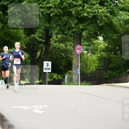 14.06.2026 - REWE Women's Run Dr. Thomas Lammeyer http://msf.ph/oto/9763042 14.06.2026 09:36:48 Laufen 3 meine-sportfotos.de