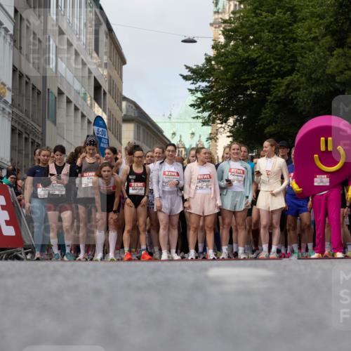 14.06.2026 - REWE Women's Run Michael Strokosch http://msf.ph/oto/9779644 14.06.2026 08:58:09 Laufen 10843, 5, 00 meine-sportfotos.de