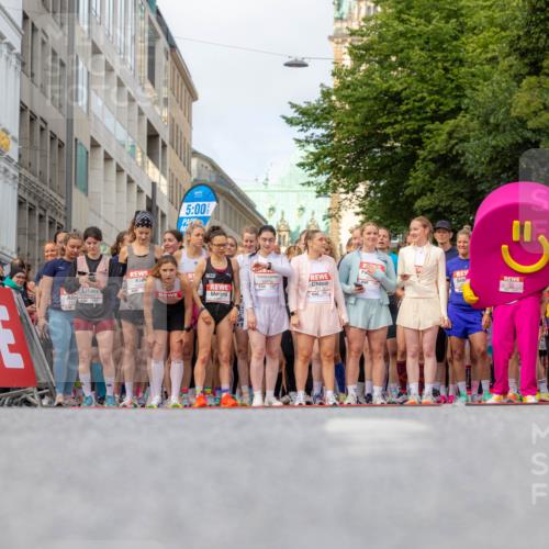 14.06.2026 - REWE Women's Run Michael Strokosch http://msf.ph/oto/9779645 14.06.2026 08:58:09 Laufen 10843, 113, 5, 00 meine-sportfotos.de