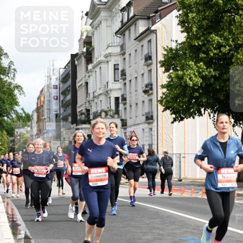 14.06.2026 - REWE Women's Run Dr. Thomas Lammeyer http://msf.ph/oto/9783220 14.06.2026 10:52:19 Laufen 2, 33 meine-sportfotos.de