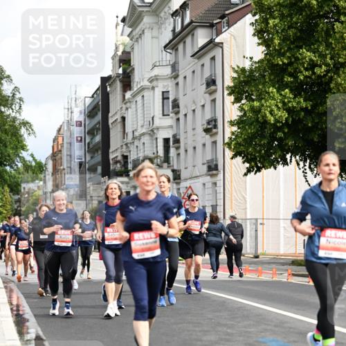 14.06.2026 - REWE Women's Run Dr. Thomas Lammeyer http://msf.ph/oto/9783222 14.06.2026 10:52:19 Laufen  meine-sportfotos.de