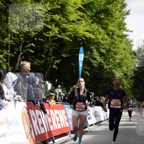 14.06.2026 - REWE Women's Run Michael Strokosch http://msf.ph/oto/9784792 14.06.2026 10:55:50 Laufen 5, 00 meine-sportfotos.de