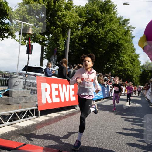 14.06.2026 - REWE Women's Run Michael Strokosch http://msf.ph/oto/9788936 14.06.2026 11:37:04 Laufen 182 meine-sportfotos.de