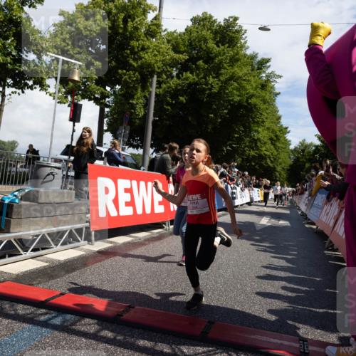 14.06.2026 - REWE Women's Run Michael Strokosch http://msf.ph/oto/9788958 14.06.2026 11:37:10 Laufen 204 meine-sportfotos.de