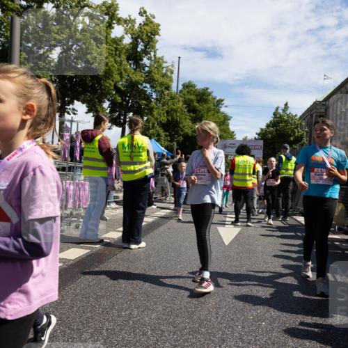 14.06.2026 - REWE Women's Run Michael Strokosch http://msf.ph/oto/9788971 14.06.2026 11:37:37 Laufen 0, 0 meine-sportfotos.de
