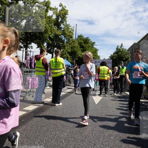 14.06.2026 - REWE Women's Run Michael Strokosch http://msf.ph/oto/9788972 14.06.2026 11:37:37 Laufen 232, 0, 0 meine-sportfotos.de