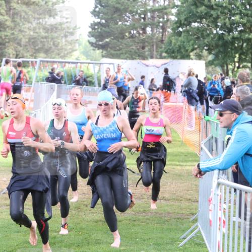 14.06.2026 - 7 Türme Triathlon Andreas Tolksdorf http://msf.ph/oto/9810591 14.06.2026 08:24:29 Schwimmen  meine-sportfotos.de
