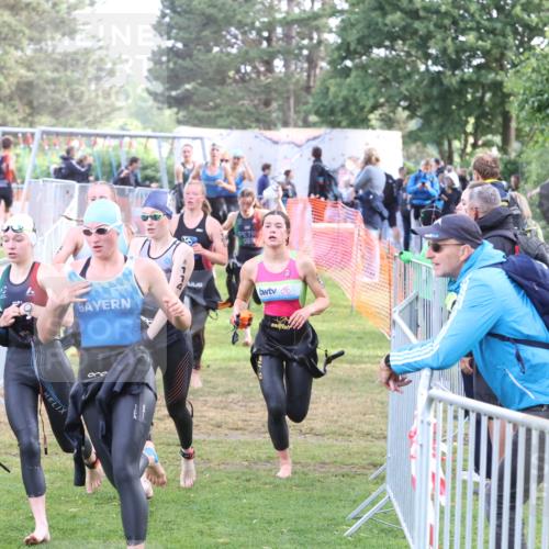 14.06.2026 - 7 Türme Triathlon Andreas Tolksdorf http://msf.ph/oto/9810592 14.06.2026 08:24:29 Schwimmen  meine-sportfotos.de