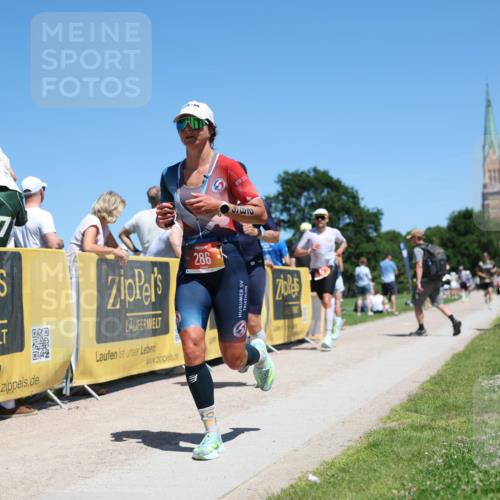 21.06.2026 - Viking Triathlon Michael Strokosch http://msf.ph/oto/9836453 21.06.2026 14:19:15 Laufen 74, 251, 276, 286, 352, 648 meine-sportfotos.de