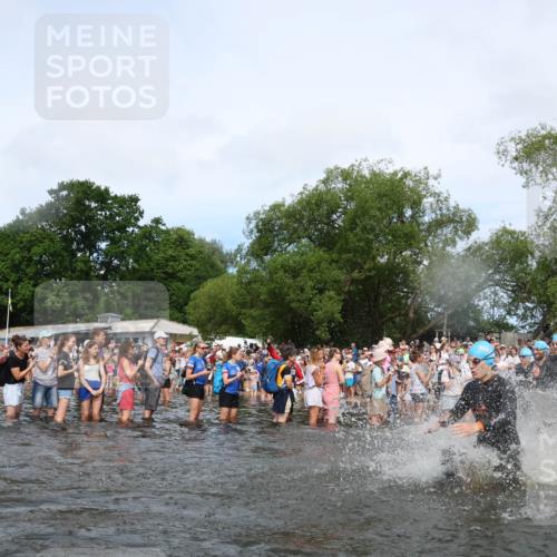 21.06.2026 - Viking Triathlon Michael Strokosch http://msf.ph/oto/9842004 21.06.2026 10:02:14 Schwimmen 47, 87, 90, 102, 136, 152, 154, 410, 438, 490, 501, 536, 537, 655, 660 meine-sportfotos.de