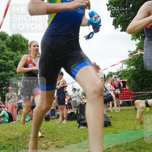 21.06.2026 - 29. Vierlanden-Triathlon LAZAROV Photography http://msf.ph/oto/9842282 21.06.2026 14:38:31 Schwimmen 1241, 1242, 1243, 1244, 1259, 1261, 1277, 1292 meine-sportfotos.de