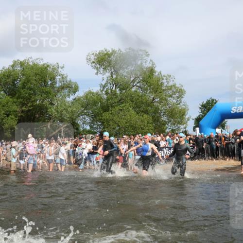 21.06.2026 - Viking Triathlon Michael Strokosch http://msf.ph/oto/9842521 21.06.2026 10:03:48 Schwimmen 137, 144, 267, 287, 291, 339, 436, 450, 521, 649 meine-sportfotos.de