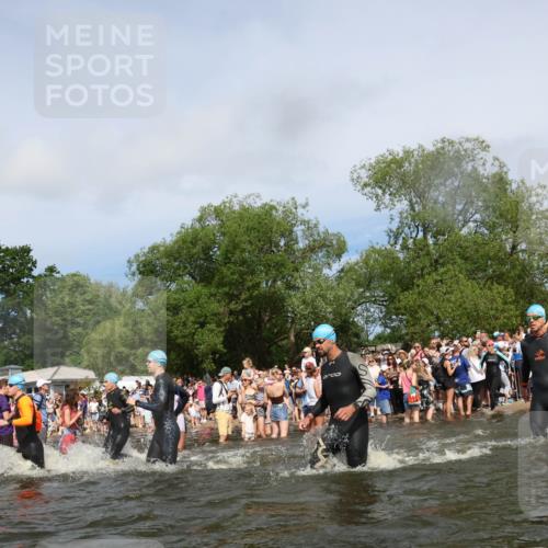 21.06.2026 - Viking Triathlon Michael Strokosch http://msf.ph/oto/9843021 21.06.2026 10:06:30 Schwimmen 56, 72, 85, 151, 177, 188, 212, 415, 445, 489, 522, 539, 577, 616, 619 meine-sportfotos.de