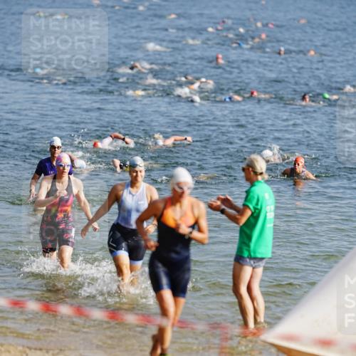 21.06.2026 - 29. Vierlanden-Triathlon LAZAROV Photography http://msf.ph/oto/9859798 21.06.2026 08:36:26 Schwimmen  meine-sportfotos.de