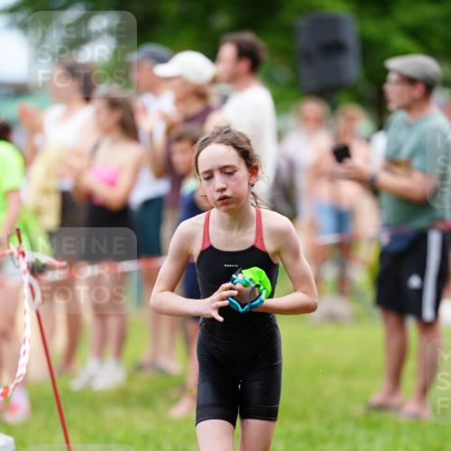 21.06.2026 - 29. Vierlanden-Triathlon LAZAROV Photography http://msf.ph/oto/9867314 21.06.2026 14:50:07 Schwimmen  meine-sportfotos.de