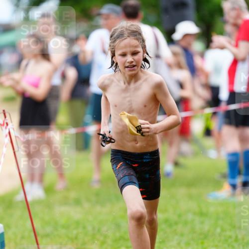 21.06.2026 - 29. Vierlanden-Triathlon LAZAROV Photography http://msf.ph/oto/9867339 21.06.2026 14:50:35 Schwimmen  meine-sportfotos.de