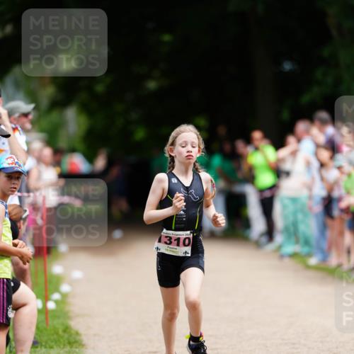 21.06.2026 - 29. Vierlanden-Triathlon LAZAROV Photography http://msf.ph/oto/9874885 21.06.2026 15:09:24 Laufen 1, 2026, 310 meine-sportfotos.de
