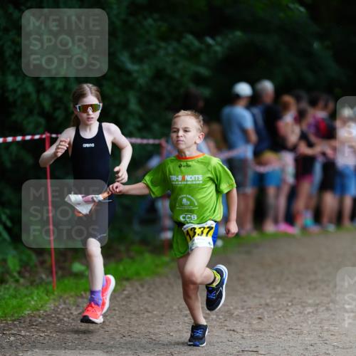 21.06.2026 - 29. Vierlanden-Triathlon LAZAROV Photography http://msf.ph/oto/9875083 21.06.2026 15:11:03 Laufen 337 meine-sportfotos.de