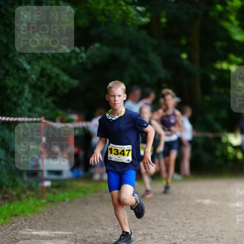 21.06.2026 - 29. Vierlanden-Triathlon LAZAROV Photography http://msf.ph/oto/9875496 21.06.2026 15:14:02 Laufen 2026, 1347 meine-sportfotos.de