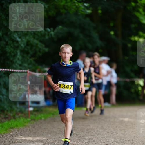 21.06.2026 - 29. Vierlanden-Triathlon LAZAROV Photography http://msf.ph/oto/9875500 21.06.2026 15:14:02 Laufen 2026, 1347 meine-sportfotos.de