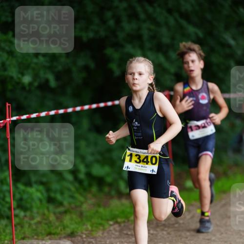 21.06.2026 - 29. Vierlanden-Triathlon LAZAROV Photography http://msf.ph/oto/9875527 21.06.2026 15:14:06 Laufen 1340, 1326 meine-sportfotos.de