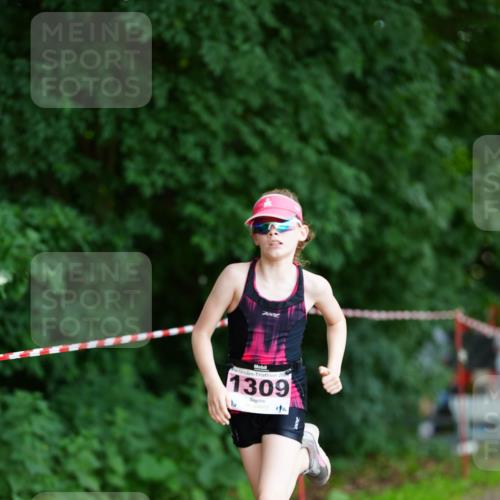21.06.2026 - 29. Vierlanden-Triathlon LAZAROV Photography http://msf.ph/oto/9875668 21.06.2026 15:15:01 Laufen 20, 1309 meine-sportfotos.de