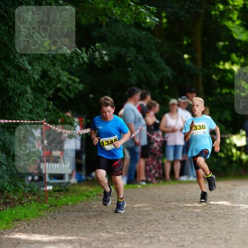 21.06.2026 - 29. Vierlanden-Triathlon LAZAROV Photography http://msf.ph/oto/9875702 21.06.2026 15:15:11 Laufen 1345, 336 meine-sportfotos.de