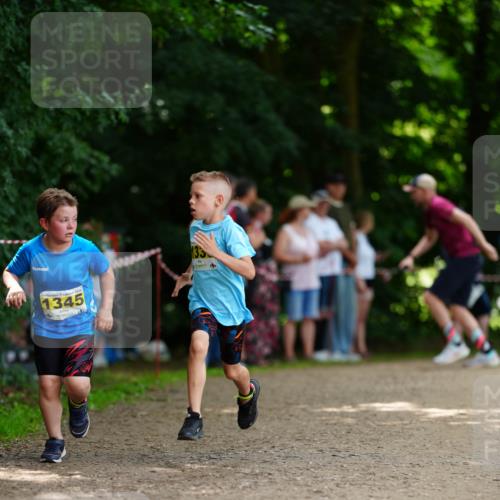 21.06.2026 - 29. Vierlanden-Triathlon LAZAROV Photography http://msf.ph/oto/9875707 21.06.2026 15:15:12 Laufen 1345 meine-sportfotos.de